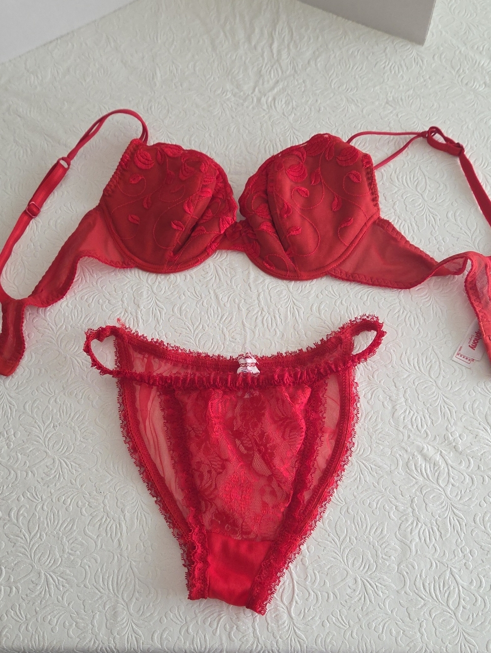 Red Lace Embroidered Bra & Panty Set - Women Intimates